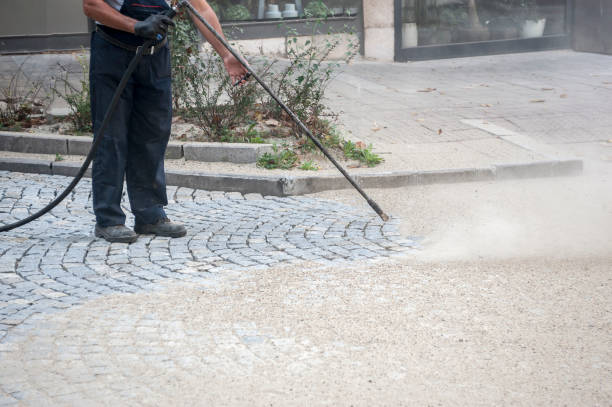 Best Driveway Pressure Washing  in Oakwood Hls, IL